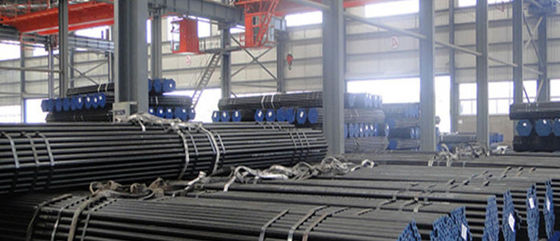 ASME SS316L ngâm ủ liền mạch Ống ngân hàng nồi hơi Kết thúc đồng bằng