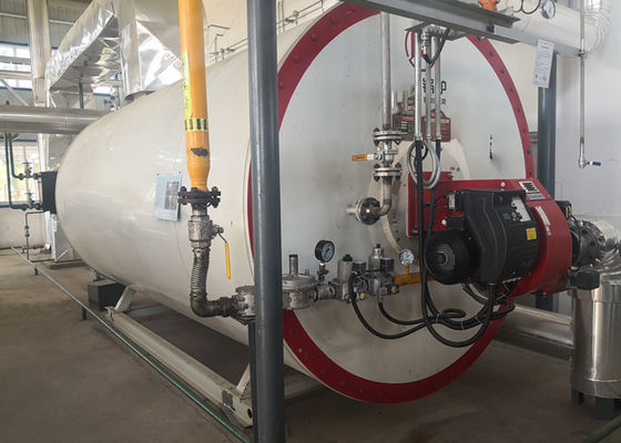 Nồi hơi đốt nhiên liệu diesel hữu cơ 0,7MW với mức độ an toàn cao