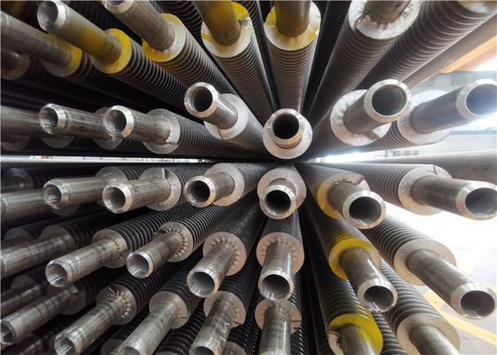 Bộ trao đổi nhiệt ASME Ống vi sinh lò hơi trung tính carbon