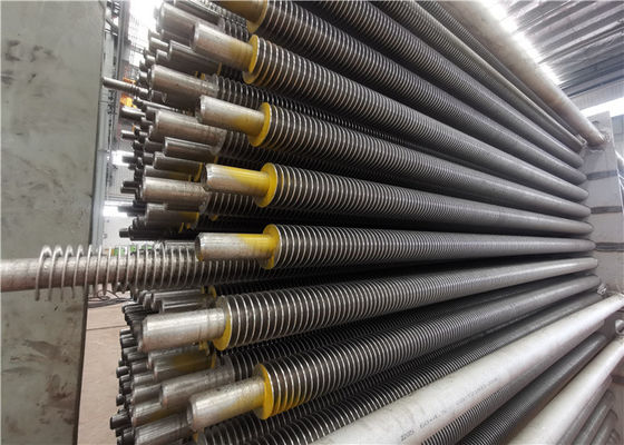 Bộ trao đổi nhiệt ASME Ống vi sinh lò hơi trung tính carbon